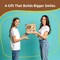Premium Wooden Bird House Kit - Build it Yourself Birdhouse - Birdhouse Kits for Adults to Build - Woodworking Adult Crafts & DIY Bird House